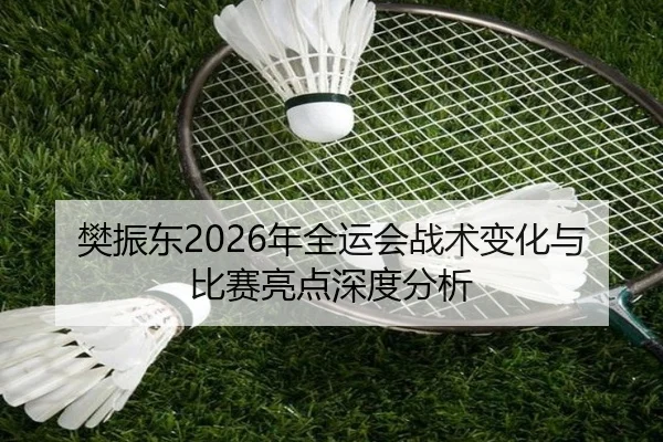 樊振东2026年全运会战术变化与比赛亮点深度分析