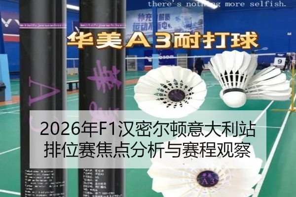 2026年F1汉密尔顿意大利站排位赛焦点分析与赛程观察